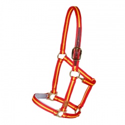 Spanisches Halfter "Hierro" Cushion web, mit Karabiner, mit robusten Beschlägen, rot/gelb, unterlegt, Cob & Full, freigestellt