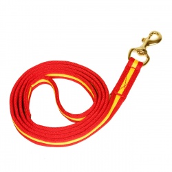 Spanischer Führstrick aus Cushion web, mit robustem Karabiner gold & silber, Länge: 2m & 2,5m, Farbe: rot/ gelb freigestellt