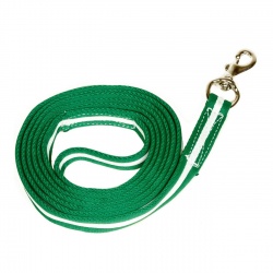 Spanischer Führstrick aus Cushion web, mit robustem Karabiner gold & silber, Länge: 2m & 2,5m, Farbe: grün/weiß freigestellt