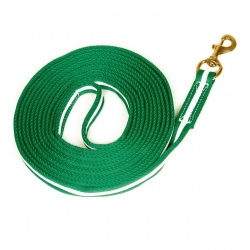 Spanische Longe aus Cushion web, mit robustem Karabiner gold & silber, Länge: 6m, Farbe: rot/gelb  &  grün/weiß, freigestellt