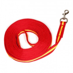 Spanische Longe aus Cushion web, mit robustem Karabiner gold & silber, Länge: 6m, Farbe: rot/gelb , freigestellt auf Weiß