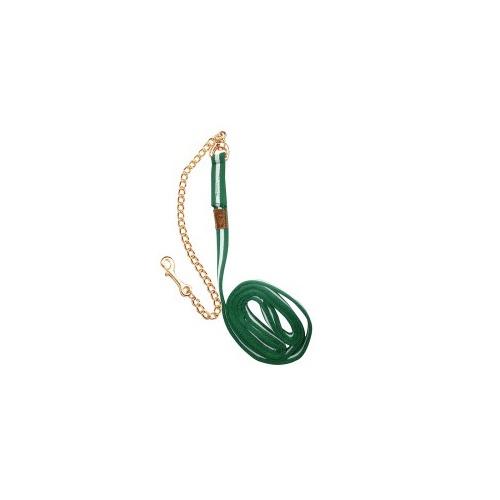 Spanische Longe aus Cushionweb, mit Kette und robustem Karabiner gold, Länge: 6m, Farbe: rot/gelb , freigestellt Spanische Longe aus Cushionweb, mit Kette und robustem Karabiner gold, Länge: 6m, Farbe: rot/gelb , freigestellt