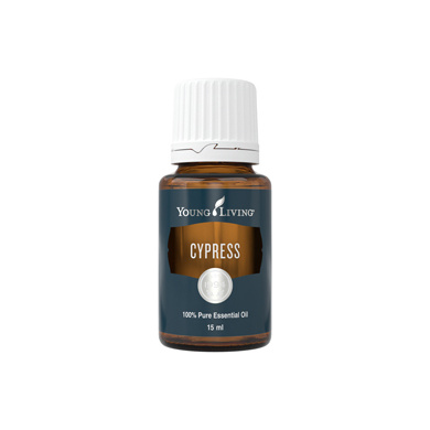 Ätherisches Öl Zypresse von Young Living, freigestellt vor weissem Hintergrund