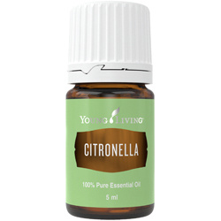 Citronella- ätherisches Öl von Young Living