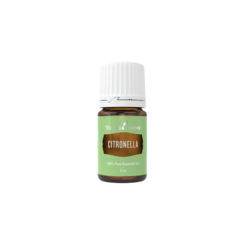 Ätherisches Öl Citronella von Young Living, freigestellt vor weissem Hintergrund Ätherisches Öl Citronella von Young Living, freigestellt vor weissem Hintergrund