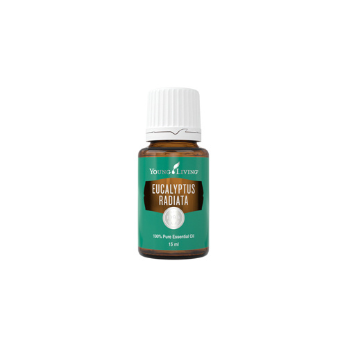 Eukalyptus Radiata- ätherisches Öl von Young Living