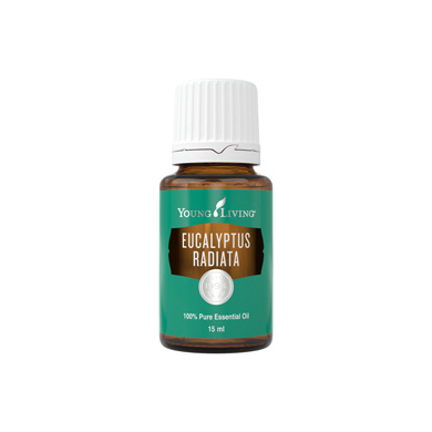 Ätherisches Öl Eukalyptus Radiata von Young Living, freigestellt vor weissem Hintergrund