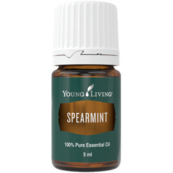 Grüne Minze (Spearmint)- ätherisches Öl von Young Living