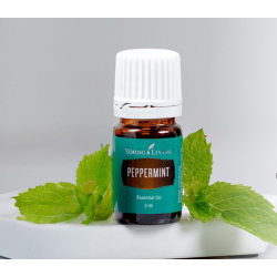 Pfefferminz- ätherisches Öl von Young Living