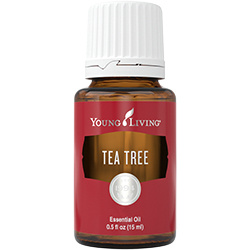 Teebaum- ätherisches Öl von Young Living