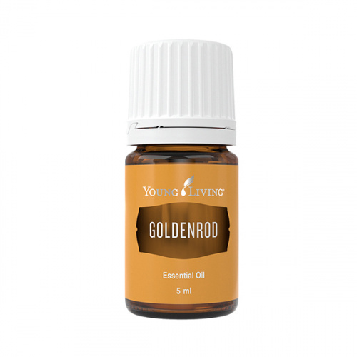 Goldrute- ätherisches Öl von Young Living