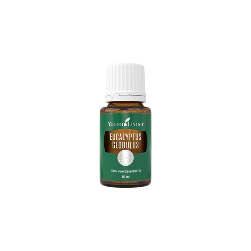 Ätherisches Öl Eukalyptus Globulus von Young Living, freigestellt vor weissem Hintergrund Ätherisches Öl Eukalyptus Globulus von Young Living, freigestellt vor weissem Hintergrund