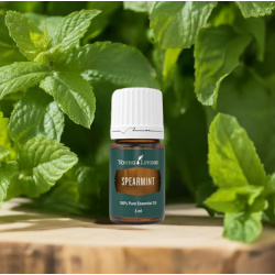 Ätherisches Öl Grüne Minze  100 % naturrein in Braunglasflasche mit Tropfer, Naturaufnahme auf Holz mit Spearmint Kräutern