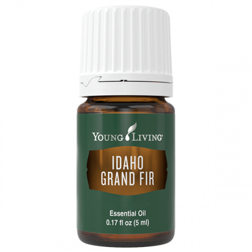 Ätherisches Öl Idaho Riesentanne von Young Living, Produktflasche mit Etikett, freigestellt vor weissem Hintergrund Ätherisches Öl Idaho Riesentanne von Young Living, Produktflasche mit Etikett, freigestellt vor weissem Hintergrund