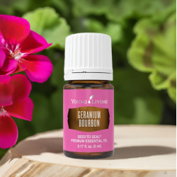 Bourbon Geranie- ätherisches Öl von Young Living