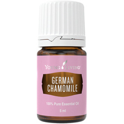 Ätherisches Öl Deutsche Kamille von Young Living, freigestellt vor weissem Hintergrund