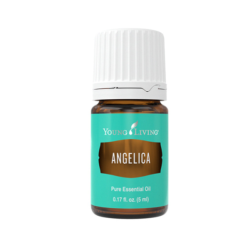 Ätherisches Öl Angelica von Young Living, Braunglasflasche mit Etikett, freigestellt vor weissem Hintergrund Ätherisches Öl Angelica von Young Living, Braunglasflasche mit Etikett, freigestellt vor weissem Hintergrund