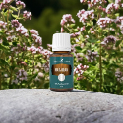 Ätherisches Öl Majoran von Young Living, 100 % naturrein in Braunglasflasche mit Tropfer, auf Stein mit Majoran im Hintergrund