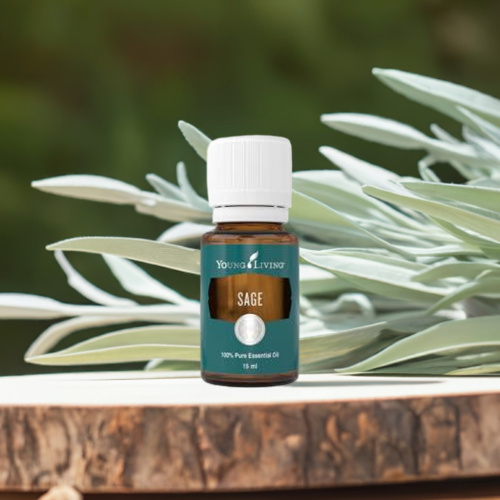 Salbei- ätherisches Öl von Young Living Salbei- ätherisches Öl von Young Living