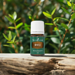 Ätherisches Öl Myrte von Young Living, 100 % naturrein in Braunglasflasche mit Tropfer, auf Holz mit Myrte im Hintergrund