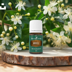 Ätherisches Öl Myrte von Young Living, 100 % naturrein in Braunglasflasche mit Tropfer, auf Holz mit blühender Myrte