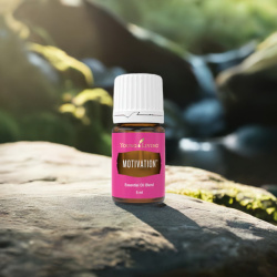 Ätherisches Öl Motivation von Young Living, 100 % naturrein in Braunglasflasche mit Tropfer, auf Stein in der Natur