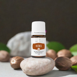 Ätherisches Öl Muskatnuss Plus von Young Living, 100 % naturrein in Braunglasflasche mit Tropfer, auf Stein mit Muskatnüssen