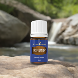 Ätherisches Öl Inspiration von Young Living, 100 % naturrein in Braunglasflasche mit Tropfer, in der Natur auf Stein am Bach