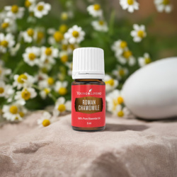 Ätherisches Öl Römische Kamille von Young Living, 100 % naturrein in Braunglasflasche mit Tropfer, auf Stein in der Natur
