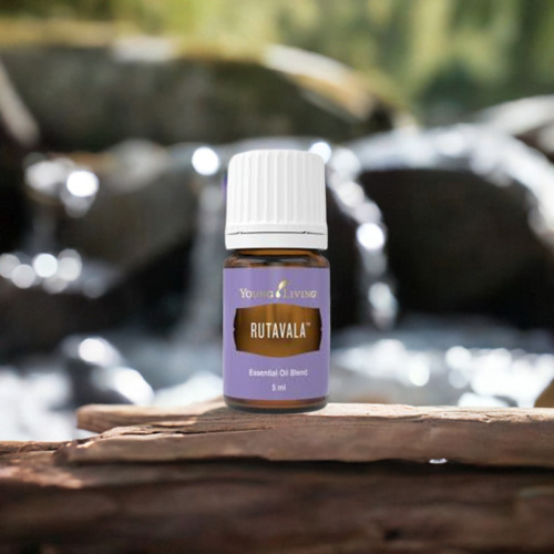 Rutavala- ätherisches Öl von Young Living Rutavala- ätherisches Öl von Young Living