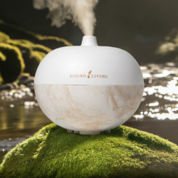 Ultraschall Diffuser AromaGlobe von Young Living, dargestellt in der Natur