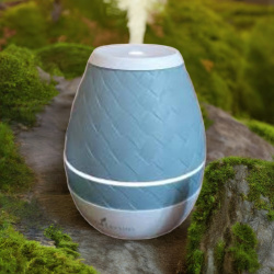 Ultraschall Diffuser Sweet Aroma von Young Living, dargestellt in der Natur