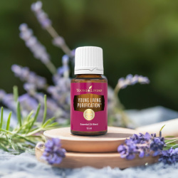 Ätherisches Öl Purification von Young Living, 100 % naturrein in Braunglasflasche mit Tropfer, auf Holz mit Kräutern