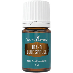 Ätherisches Öl Idaho Blaufichte von Young Living, 5ml Braunglasflasche mit Etikett mit Tropfer, freigestellt vor weißem Grund