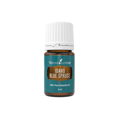 Ätherisches Öl Idaho Blaufichte von Young Living, 5ml Braunglasflasche mit Etikett mit Tropfer, freigestellt vor weißem Grund