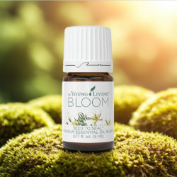 Ätherisches Öl "Bloom" von Young Living, 5ml Braunglasflasche mit Tropfer, mit Etikett, dargestellt in der Natur