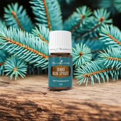 Ätherisches Öl Idaho Blaufichte von Young Living, 5ml Braunglasflasche mit Etikett, dargestellt mit Fichte im Hintergrund