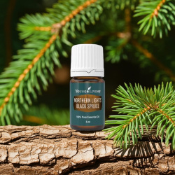 Ätherisches Öl Idaho Schwarzfichte von Young Living,5ml Braunglasflasche mit Tropfer, mit Etikett, dargestellt in der Natur