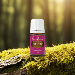 Ätherisches Öl Sensation von Young Living Entspannung und Harmonie, Produktflasche mit Etikett, dargestellt in der Natur