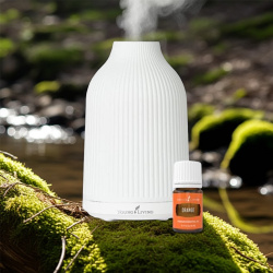 Diffusor-Set "Adobe Mist"von Young Living, dargestellt mit 5ml Orangenölflasche in der Natur
