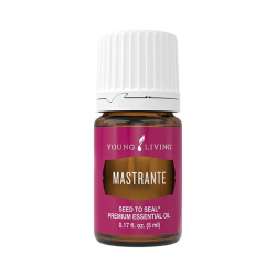 Ätherisches Öl Mastrante von Young Living, Flasche mit Tropfverschluss und Etikett, freigestellt vor weißem Hintergrund