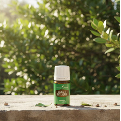 Ätherisches Ö Lorbeer von Young Living, 100 % naturrein in Braunglasflasche mit Tropfer, dargestellt in der Natur