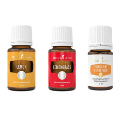 Ätherische Öle Zitrone, Zitronengras und CitrusFresh von Young Living, 3 je 5ml Braunglasflaschen mit Etikett, freigestellt Ätherische Öle Zitrone, Zitronengras und CitrusFresh von Young Living, 3 je 5ml Braunglasflaschen mit Etikett, freigestellt