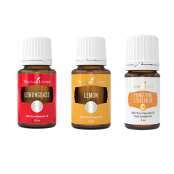 Ätherische Öle Zitrone, Zitronengras und CitrusFresh von Young Living, 3 je 5ml Braunglasflaschen mit Etikett, freigestellt