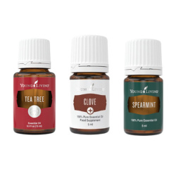 Öleset der ätherische Premium-Öle von Young Living Teebaum, Nelke und Spearmint , 3 je 5ml Flaschen mit Etikett, freigestellt Öleset der ätherische Premium-Öle von Young Living Teebaum, Nelke und Spearmint , 3 je 5ml Flaschen mit Etikett, freigestellt