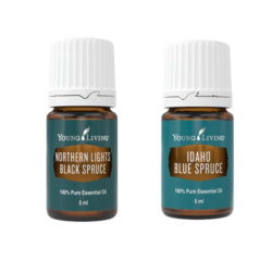 Öleset der ätherische Premium-Öle von Young Living Schwarzfichte und Blaufichte , 2 je 5ml Flaschen mit Etikett, freigestellt