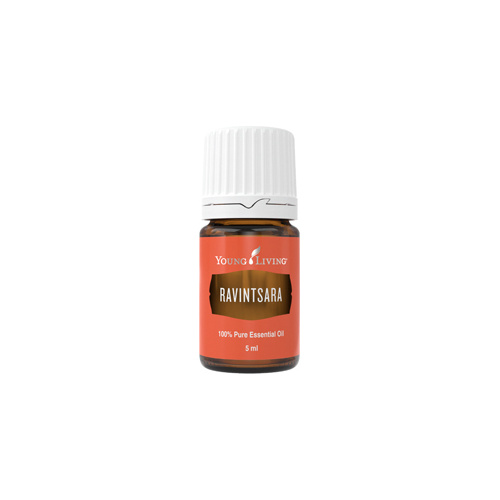 Ätherisches Premium Öl Ravintsara von Young Living, 5ml Braunglasflasche mit Tropfverschluss und Etikett, freigestellt