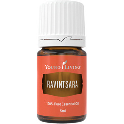 Ätherisches Premium Öl Ravintsara von Young Living, 5ml Braunglasflasche mit Tropfverschluss und Etikett, freigestellt