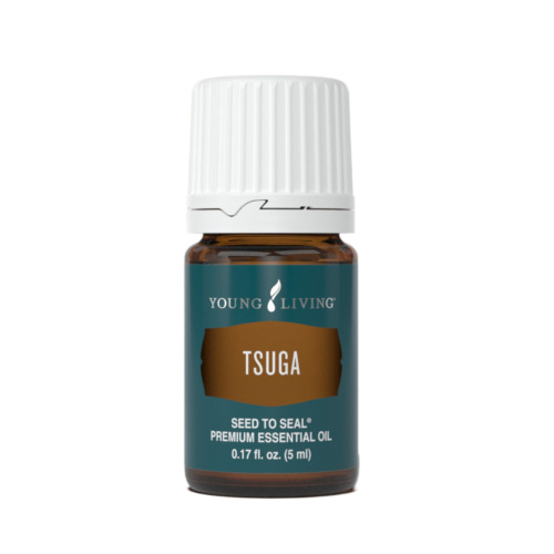Ätherisches Premium Öl Hemlocktanne (Tsuga) von Young Living, 5ml Braunglasflasche mit Tropfverschluss und Etikett, freigestellt