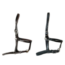 Handgenähtes Fohlenhalfter Leder, doppelt verstellbar, Farben: schwarz & braun, freigestellt